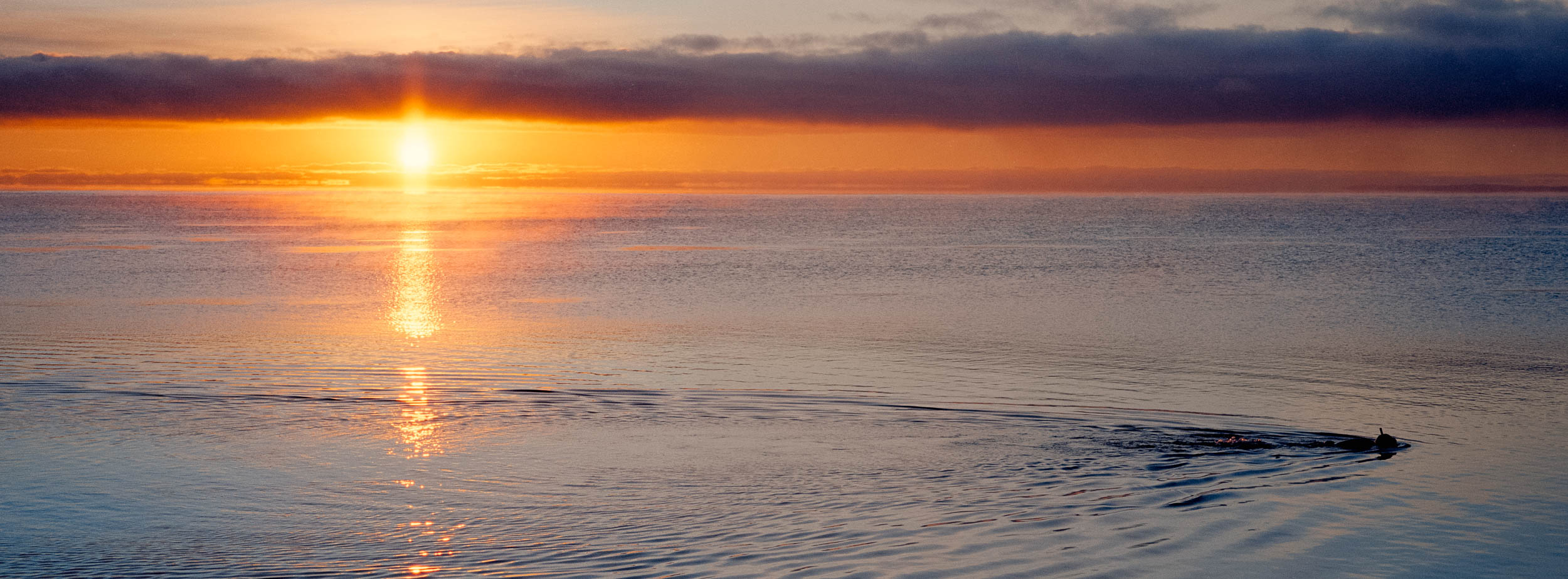 Summer in the American Midwest