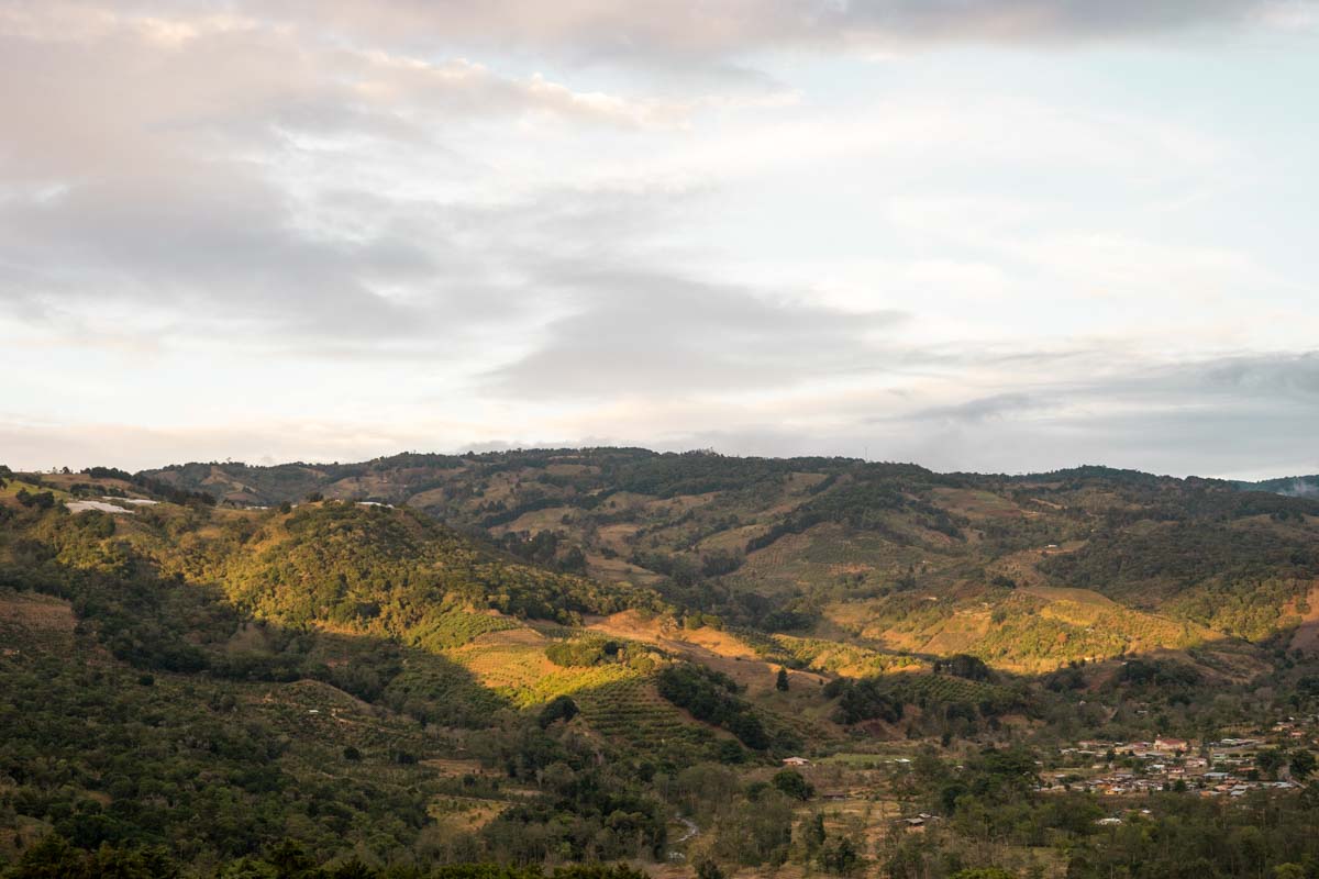 Photo of a dusk skyline above a grassy rockface covered in trees.